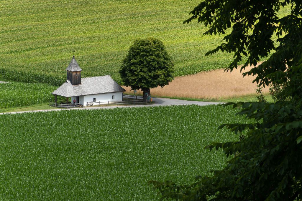 <strong>2025. 07. 09.</strong><br>Békesség • Peacefulness